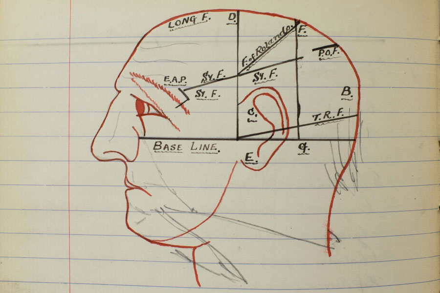 physiology-archibald-young